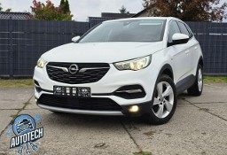 Opel Grandland X FilmPokazowy*Śliczny*Gwarancja*PełenSerwis