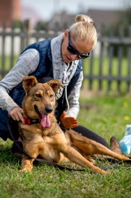 KROMKA grzeczna i kochana, ale chce być w końcu chciana... -2