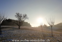 Dom Forel (Lavaux)