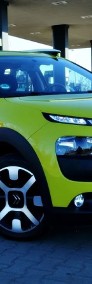 Citroen C4 Cactus I-3