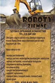 Roboty Zirmne-2