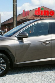 Hyundai Tucson III-2