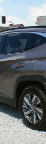 Hyundai Tucson III-3