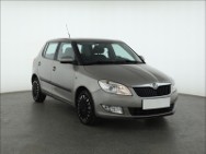 Skoda Fabia II , Salon Polska, Klima
