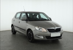 Skoda Fabia II , Salon Polska, Klima
