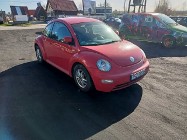 Volkswagen New Beetle Volkswagen Nev Beetle 2.0 99r