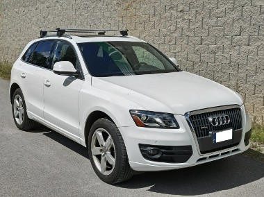 Audi Q5 I (8R)-1