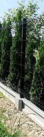 Tanie ogrodzenia panelowe wraz z montażem Alfabram Nowy Sącz Wiśniowski-4