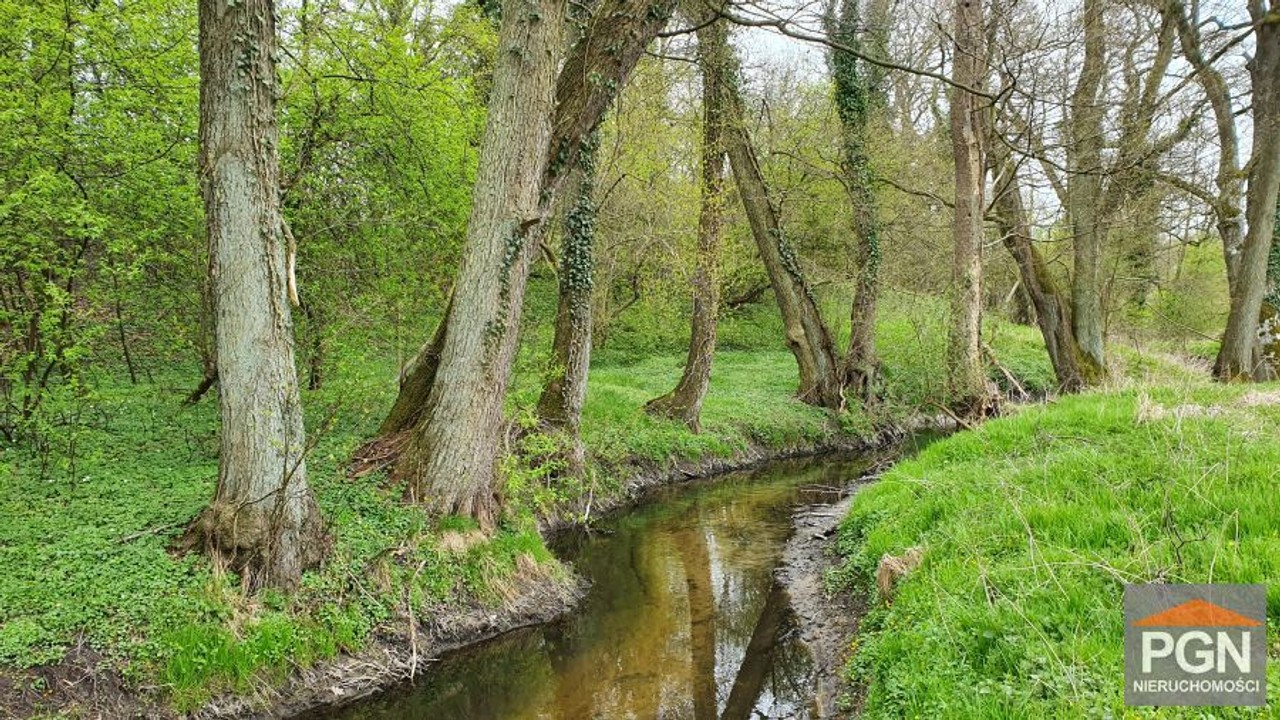 Działka 8054 m² z rzeczką i starodrzewem - Niechorz - Widok 3