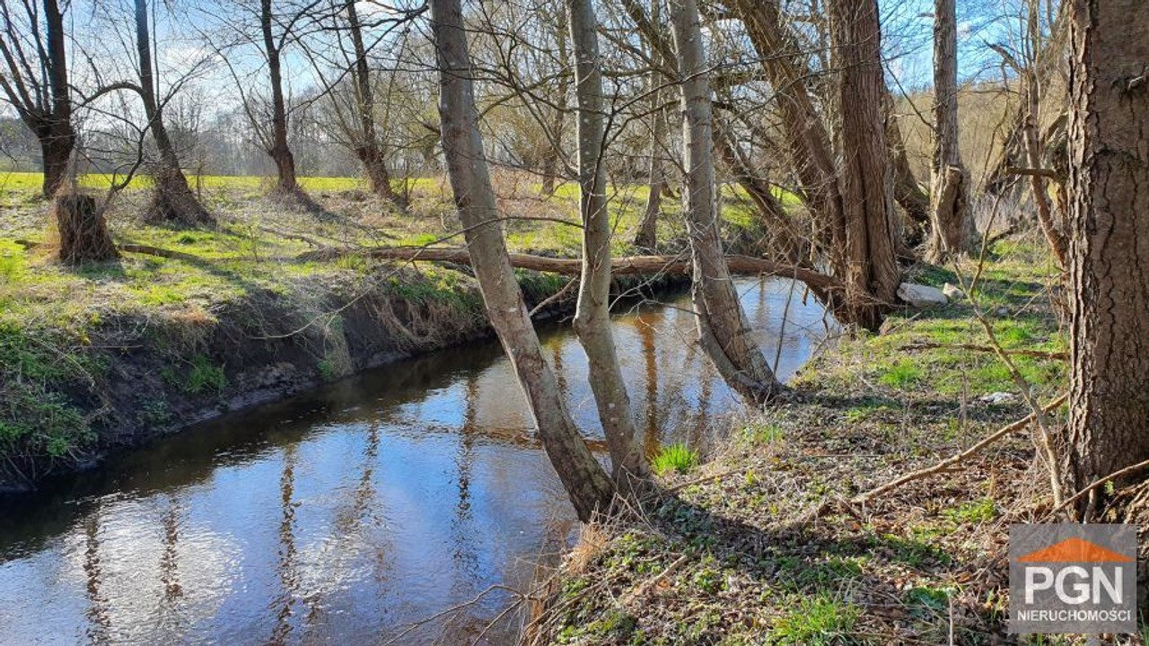 Działka 8054 m² z rzeczką i starodrzewem - Niechorz - Widok 5