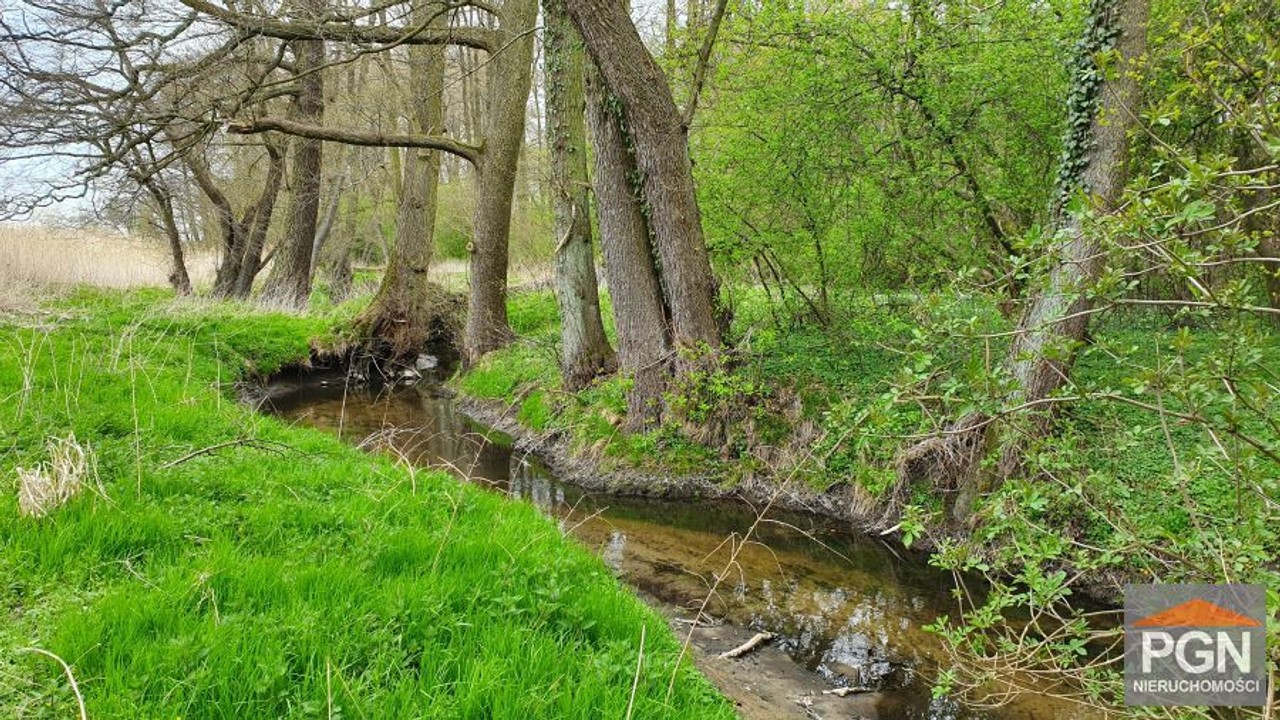 Działka 8054 m² z rzeczką i starodrzewem - Niechorz - Więcej
