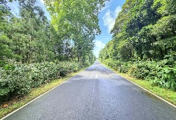 Dom Ilha Das Flores, Fajã Grande