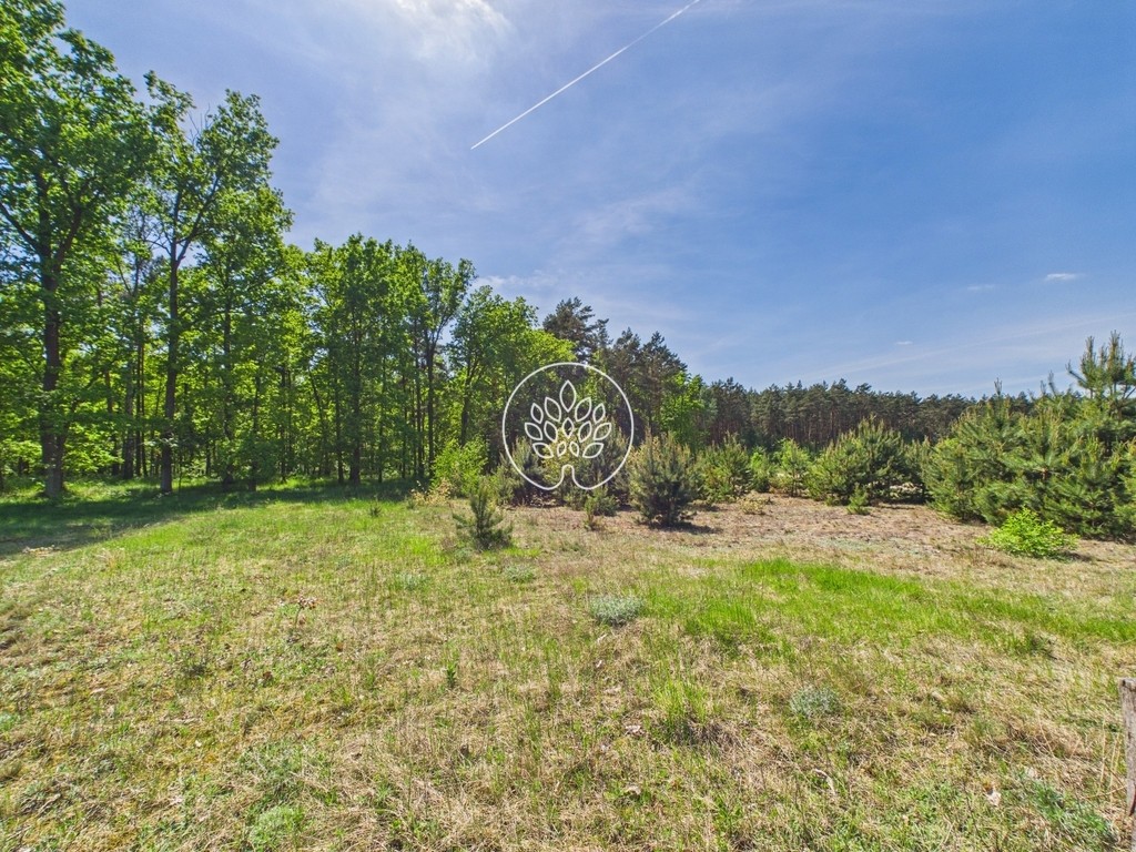 1585 m² | Ściana lasu | MPZP – pohled 3