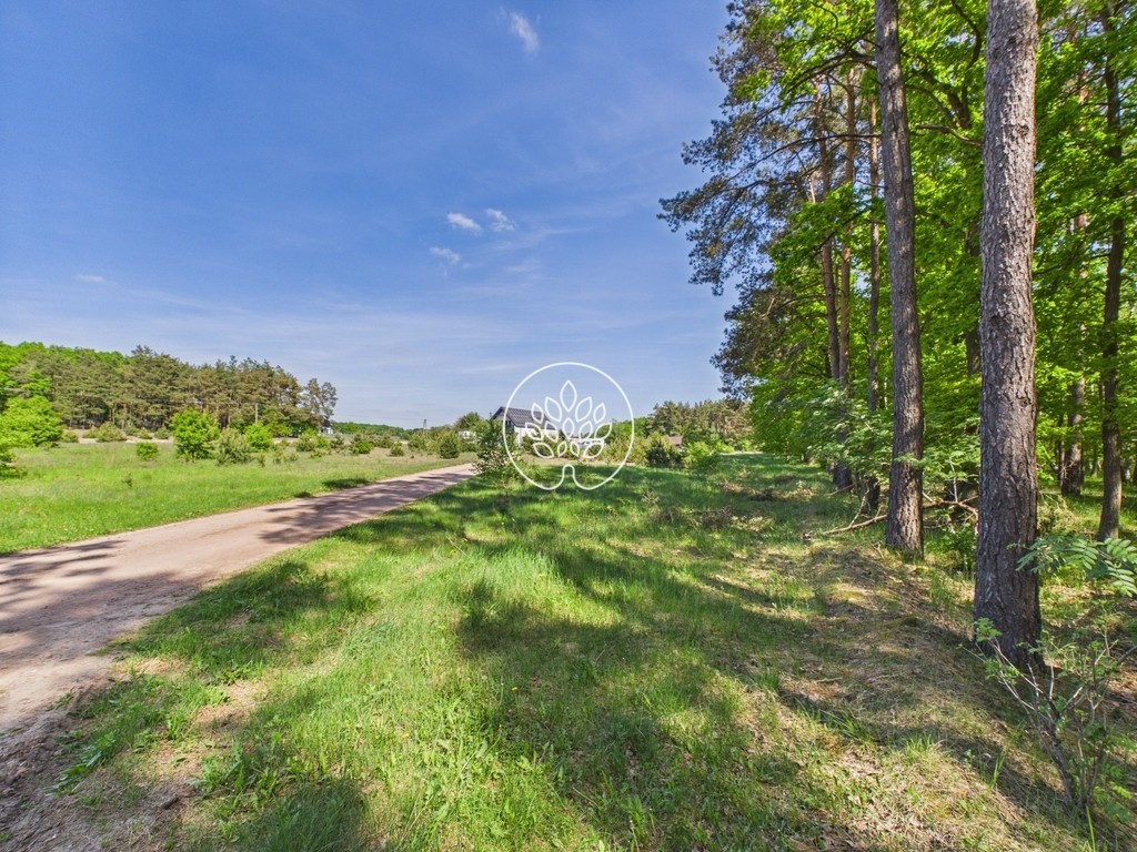 1585 m² | Ściana lasu | MPZP – pohled 5