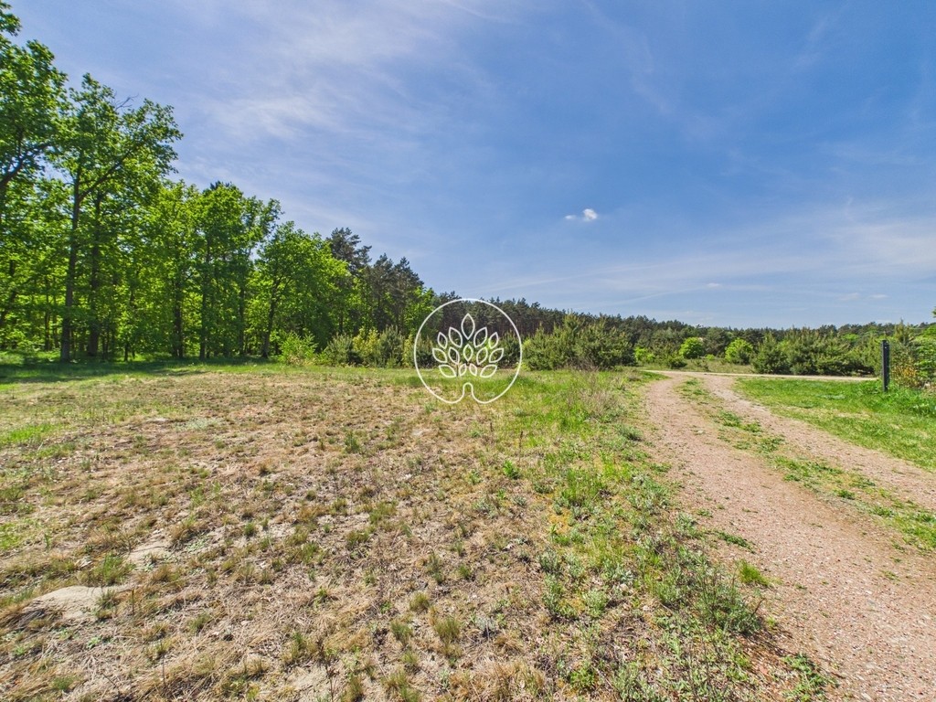 1585 m² | Ściana lasu | MPZP – pohled 6