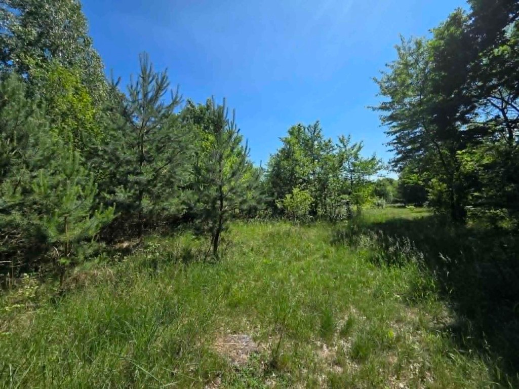 działka budowlana - Widok 5