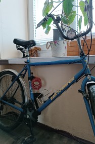 Rower męski niebieski-2