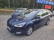 Ford C-MAX III polecam