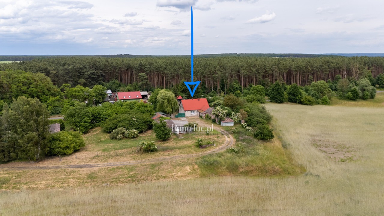 dom na sprzedaż