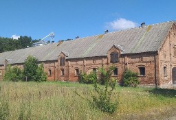 Lokal Lubiechów Górny