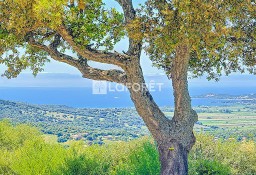 Dom SERRA DI FERRO