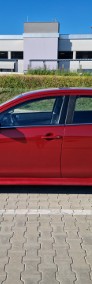Spotback-3