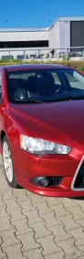 Spotback-4