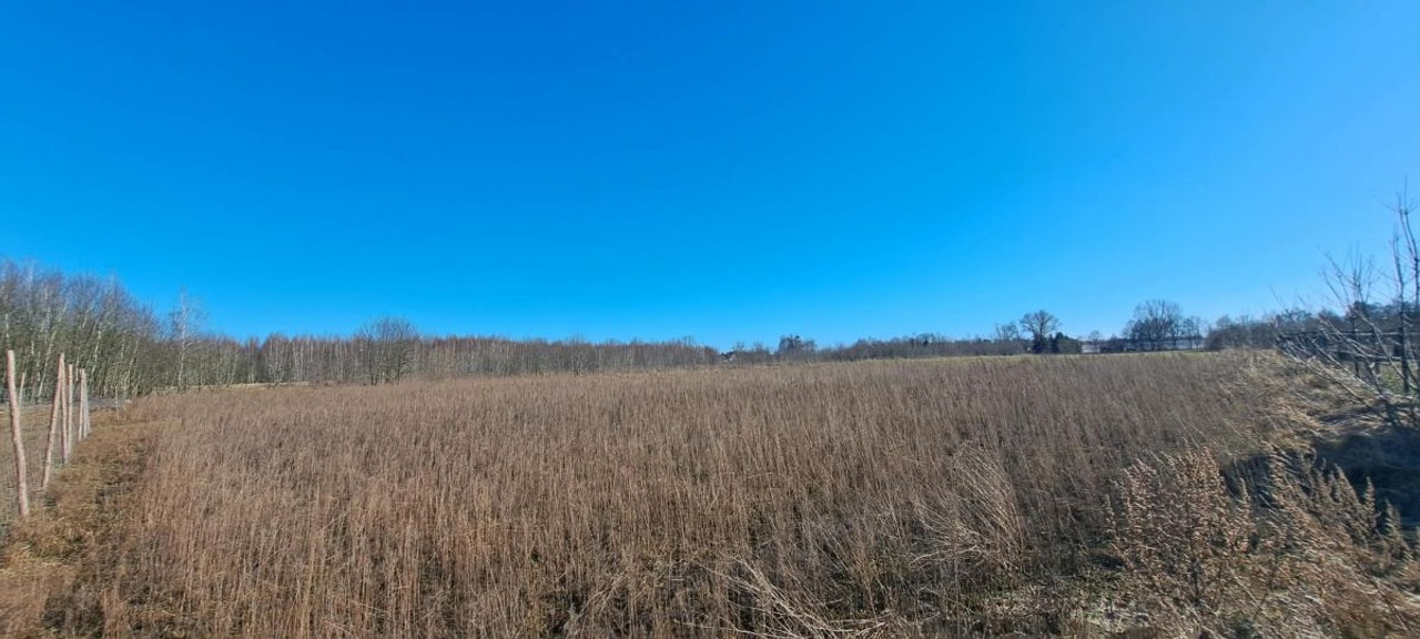Działka budowlana, 948 m², Kolonia Brużyca - Widok 3