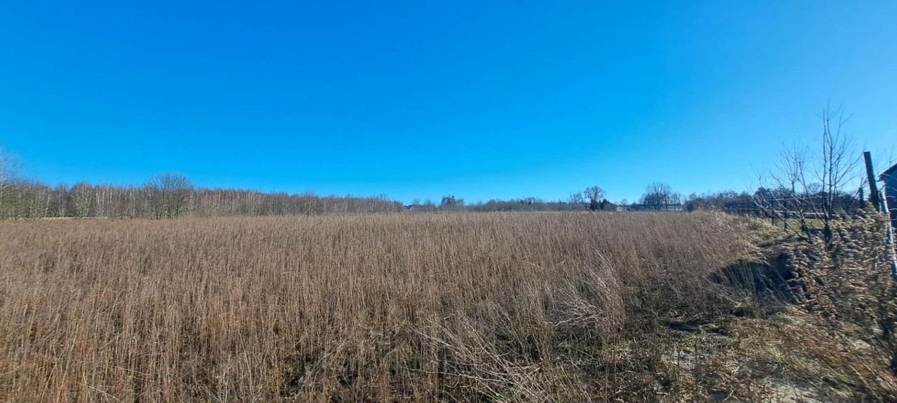 Działka budowlana, 948 m², Kolonia Brużyca - Widok 6