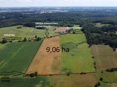 Działka rolno-budowlana o powierzchni 90600 m2 (9,06 ha) Strużyna-1