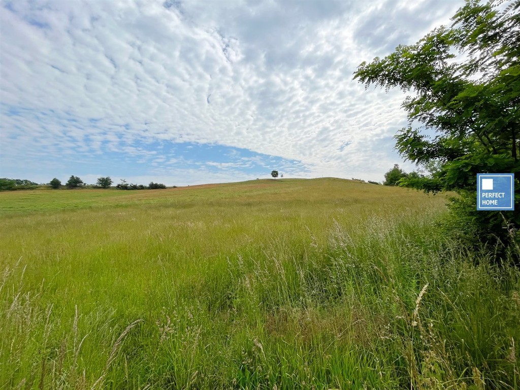 Działka na sprzedaż, 1685 m², Stare Bogaczowice Chwaliszów - View 4