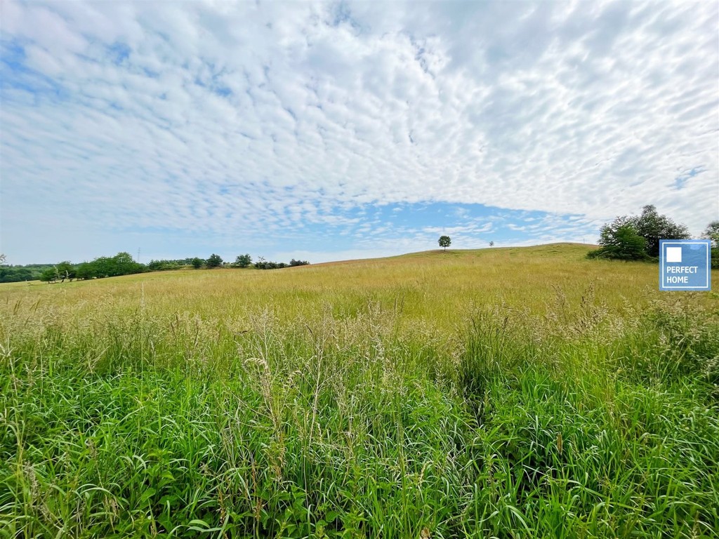 Działka na sprzedaż, 1685 m², Stare Bogaczowice Chwaliszów - View 5