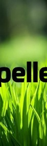 Pellet PFEIPFER/ Timbory 6mm Propellet24 Opole-4