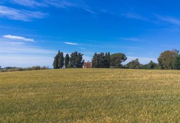 Dom Tarquinia