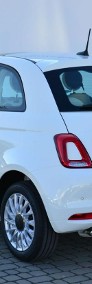 Fiat 500 Dolcevita Panorama AndroidAuto/CarPlay Klima-4
