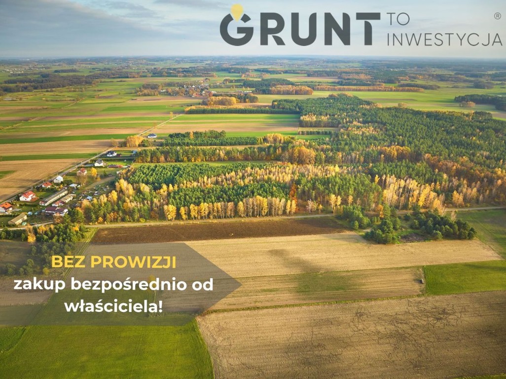 Działki budowlane pod lasem - Widok 2