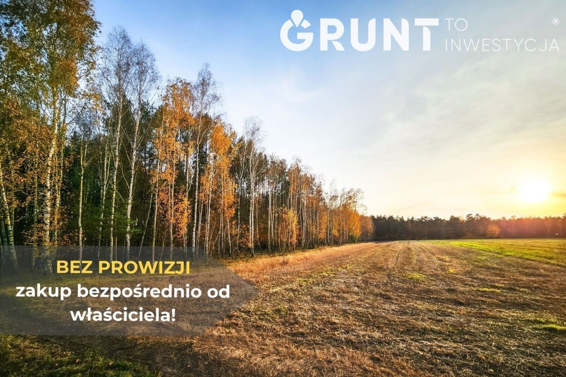 Działki budowlane pod lasem - Widok 6