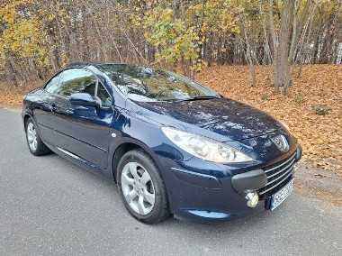 Peugeot 307 JBL- super stan-1