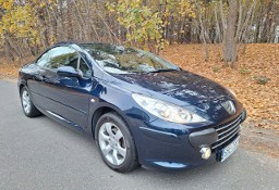 Peugeot 307 JBL- super stan