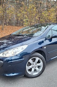 Peugeot 307 JBL- super stan-2