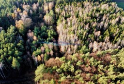 Działka inna Petrykozy, ul. za Gajem