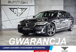 BMW Seria 5 530e xDrive Luxury Line sport