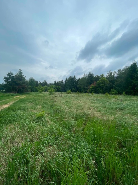 Urocza działka w ciszy i zieleni Rokitnica gm Łask - Widok 6