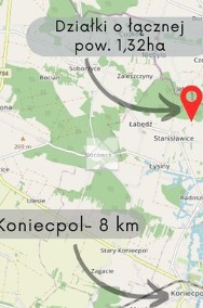 Działka rolna 1,32 ha - gmina Koniecpol-2