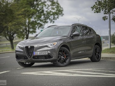 Alfa Romeo Stelvio 2.0 Q4 Turbo 280KM-1