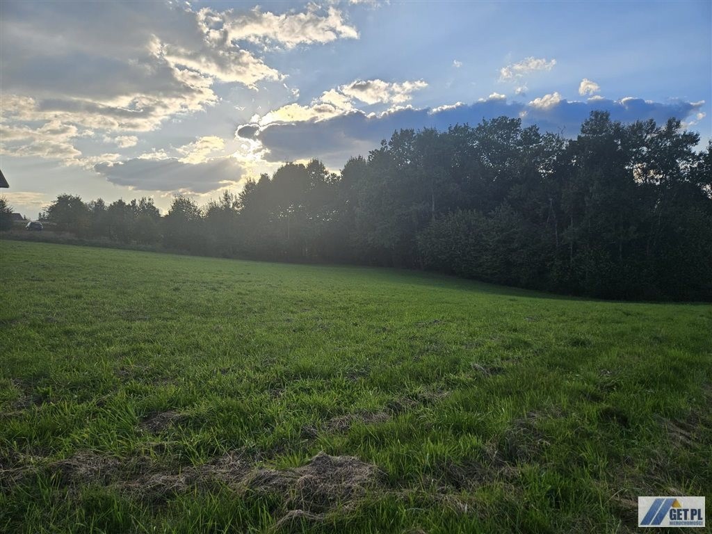 Działka na sprzedaż, 3300 m², Myślenice Krzyszkowice - Widok 3