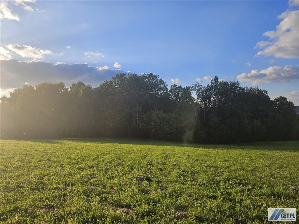 Działka na sprzedaż, 3300 m², Myślenice Krzyszkowice - Widok 5