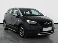 Opel Inny Opel , Salon Polska, Klimatronic, Tempomat, Parktronic