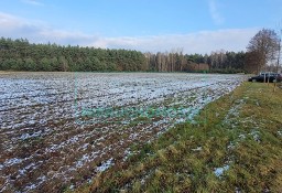 Działka siedliskowa Wygoda