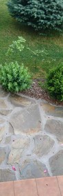  Kamień na ścieżki ogrodowe, płyty do ogrodu, ścieżka kamienna, łupek na ścieżki-4